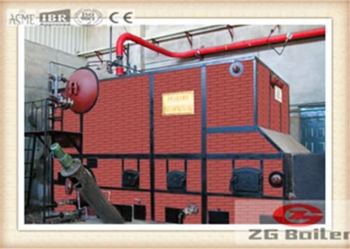Biogas Fired Boiler for heating in India 3