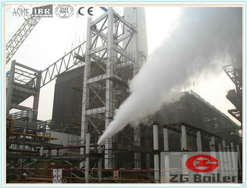 12 Ton Biomass Fired Steam Boiler for Power Generation