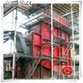 12 Ton Biomass Fired Steam Boiler for Power Generation 4