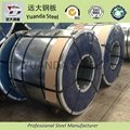galvanized steel coils hot sell  2