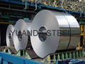 cold rolled steel coils