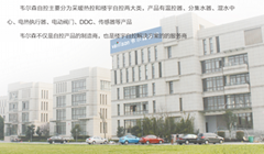 Jiangsu Vaillson automatic control technology co., LTD