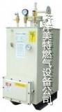 中邦正品50KG/H酒店厨房电热气化器 3