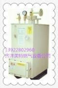 中邦100公斤液化石油电热气化器 2