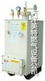 湖南中邦品牌50公斤电热气化器 2