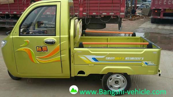 adult electric tricycle for carrying passengers 3