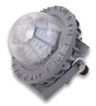 LED Explosion Proof Light