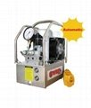 type of hydraulic pump KLW4100 Series Automatic Electrical Hydraulic Pump