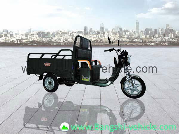 Electric tricycle