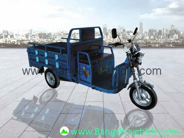 Electric tricycle 2