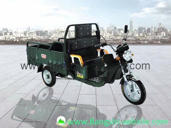 Electric tricycle 3