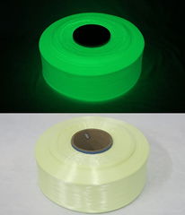 Luminous DTY/FDY Polypropylene Filament Yarn