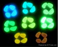 Glow in the dark Garden Stones 4