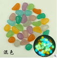 Glow in the dark Garden Stones 6