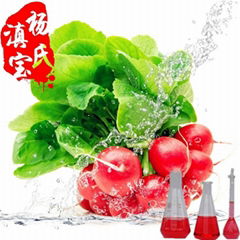 Radish Red