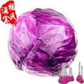 Red Cabbage Color 1