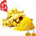 Curcumin 1