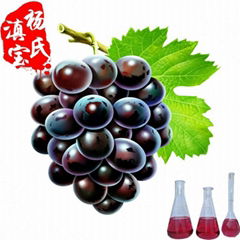 Grape Skin Extract