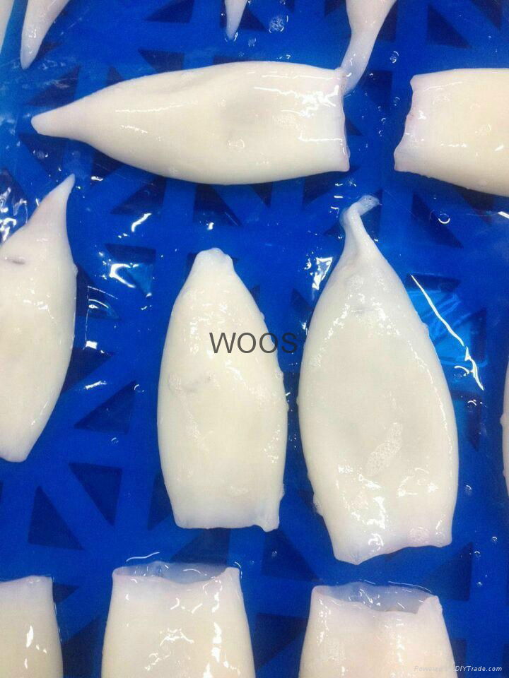 u3 u5 u8 u10 Frozen Fresh Squid Tube