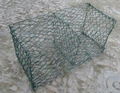 gabion mesh