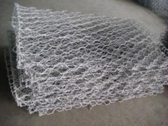 Hexagonal wire netting