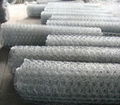 Hexagonal wire netting 2