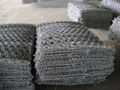 Hexagonal wire netting 3