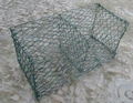 Hexagonal wire netting 4