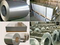 Hot dip galvanized steel PI coil 1