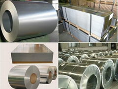 Hot dip galvanized steel PI coil