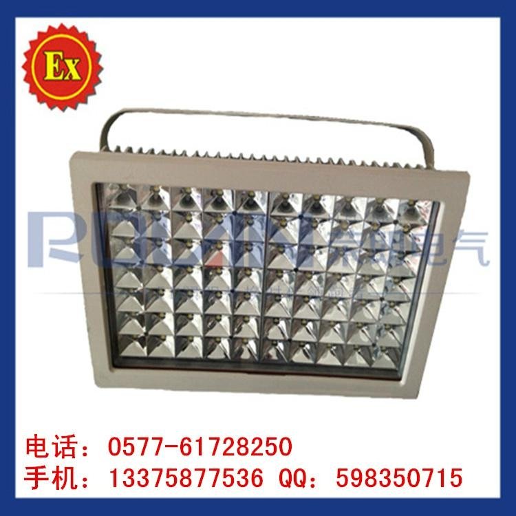100WLED explosion-proof lamp LED explosion-proof lamp 2