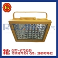 100WLED explosion-proof lamp LED