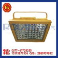 LED explosion-proof 100W 2