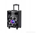 2015 new 10" Rechargeable portable amplifier speaker trolley battery speaker 1