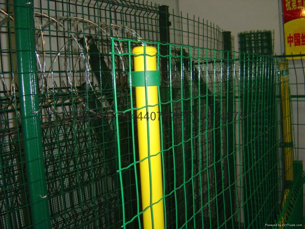 內蒙古草原荷蘭網 4