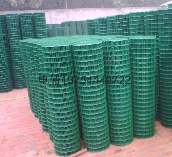 江蘇市政園林荷蘭網噴塑 4