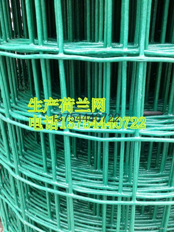 內蒙古草原網荷蘭網 2