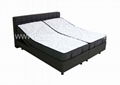 Dual Mattress Adjustable Beds