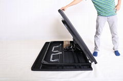 Electric Folding Bed