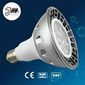 PAR38 LED PAR Light 1