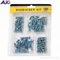 High Quality 95PCS Assorted Wood Screw Kit Made in China