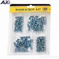 High Quality 95PCS Assorted Wood Screw