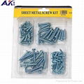 High Quality Stainless Steel Assorted Machine Screw Kit, 95 Pieces