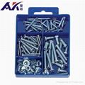 Hot Selling 110PCS Assorted Screws, Nuts and Washers Kit Made in China