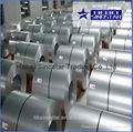 CHINA BUY Aluzinc Steel Coils 1
