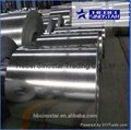  china buy Hot Dipped Galvanized Steel Coils