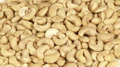 cashew nuts