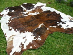 Wet Salted Cow Hides