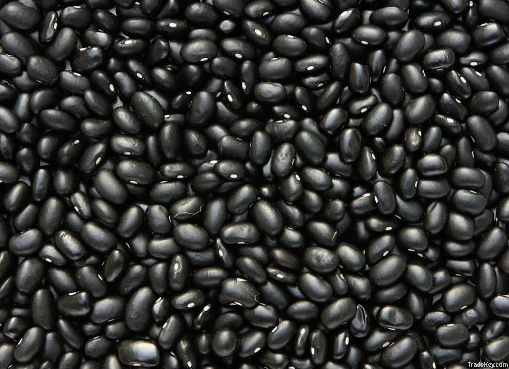 black kidney beans 
