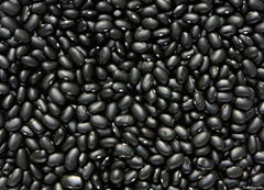 black kidney beans